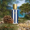 aromatic-d-azur-still-life.jpg Aromatic d'Azur