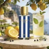 lemonade-coast-stil-life.jpg Lemonade Coast